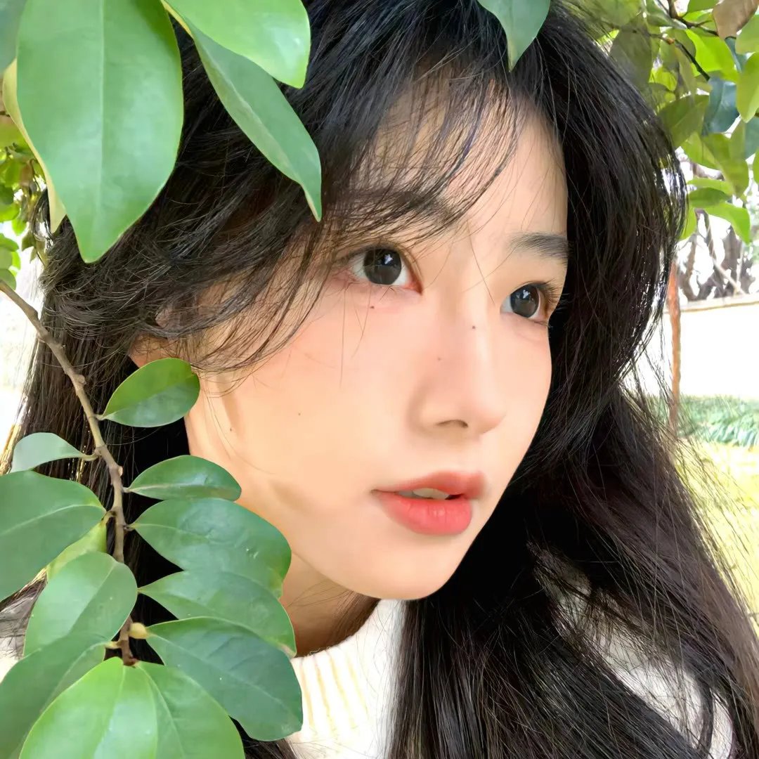 亡命之途